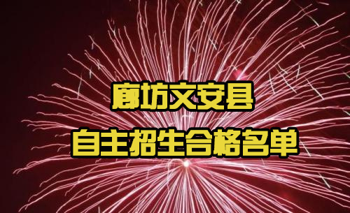 廊坊文安县自主招生考试合格名单